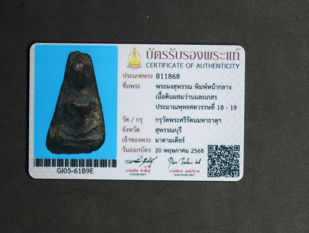มวลสาร 5 รหัส 1113