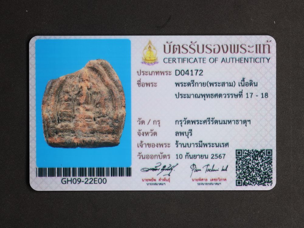 มวลสาร 4 รหัส 1119 ชุด 1