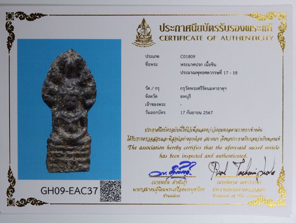มวลสาร 4 รหัส 1131 ชุด 3