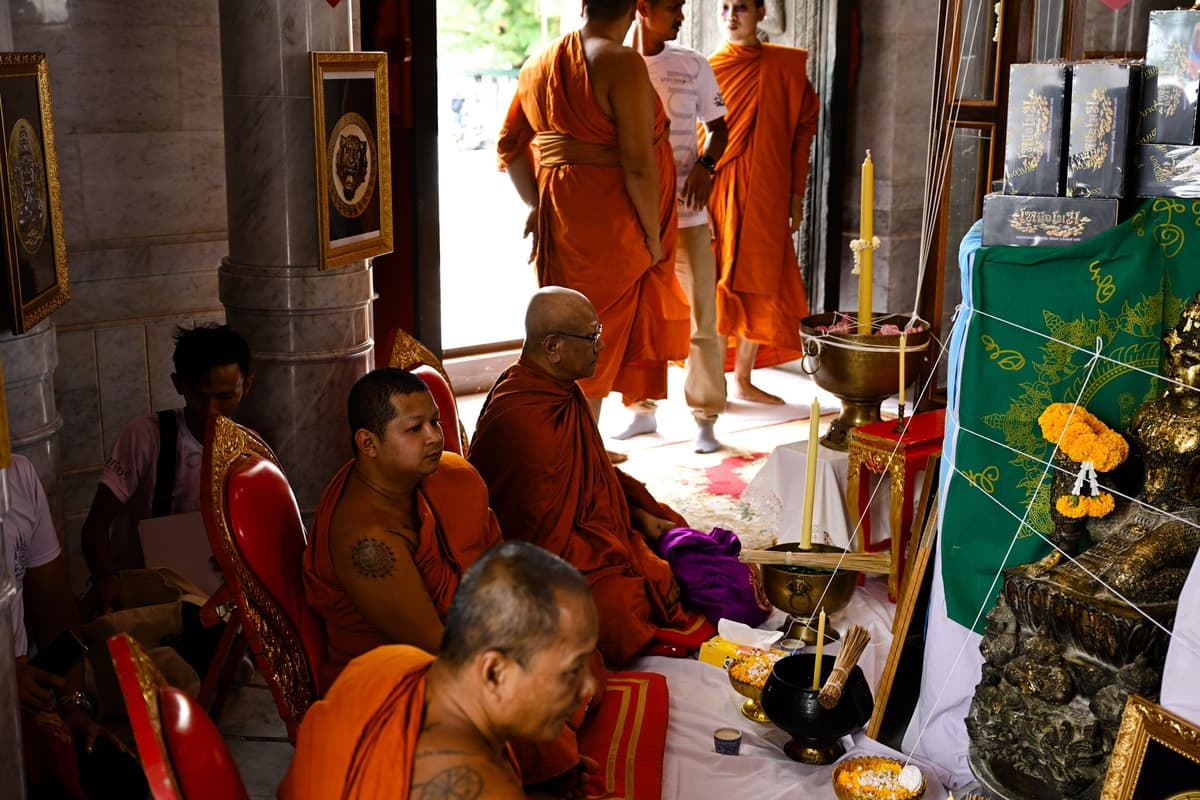 Export KDeer-245.jpg